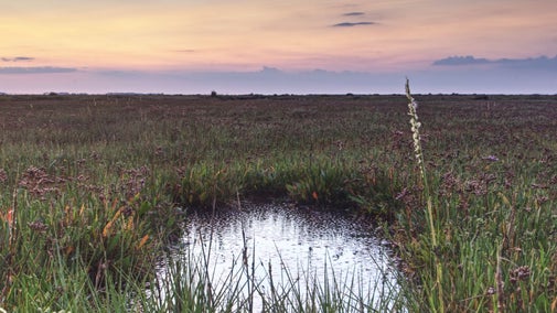 Sunrise over Stiffkey Marshes.
